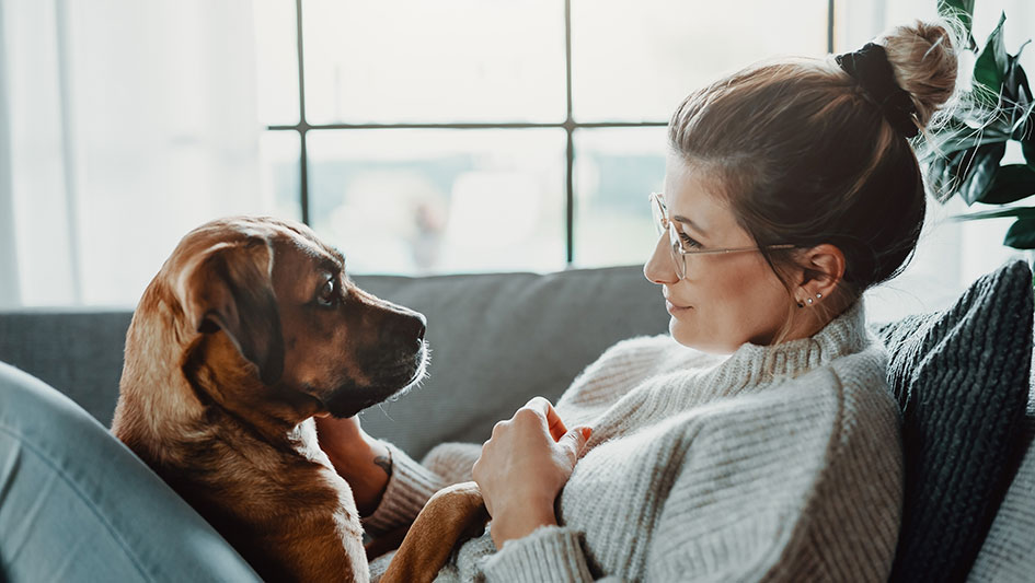 Is an Air Purifier Worth the Cost?