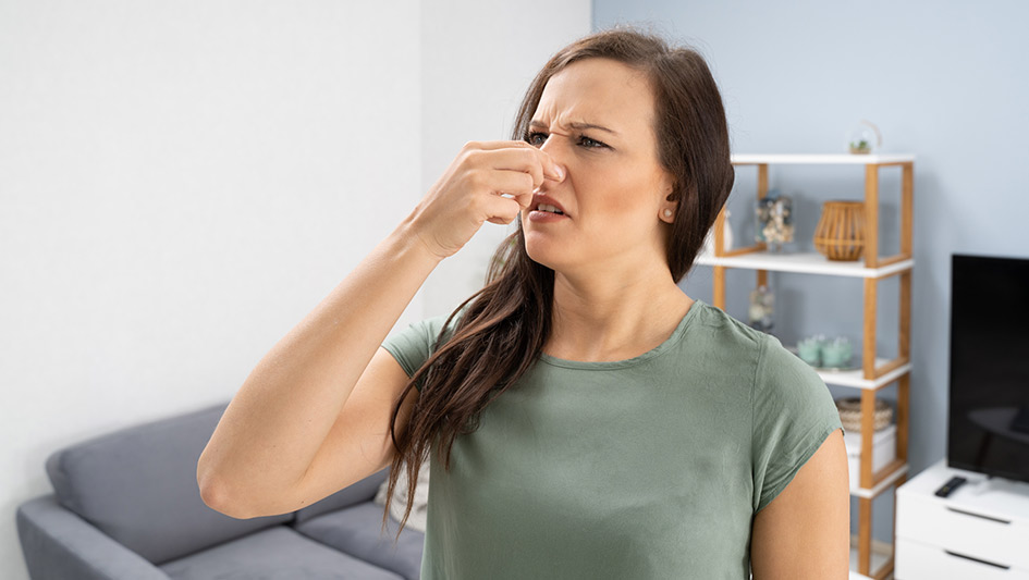 Six Common Air Conditioner Smells Explained and How to Solve the Problem